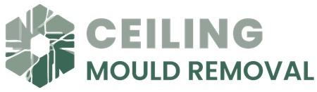 Ceiling Mould Removal Logo