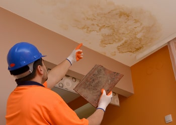 Ceiling Stain and Mildew Removal