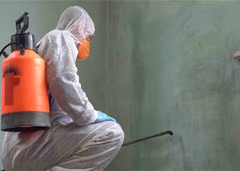 Emergency Mould Removal